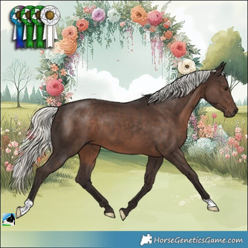 Horse Color:Liver Chestnut Mushroom 