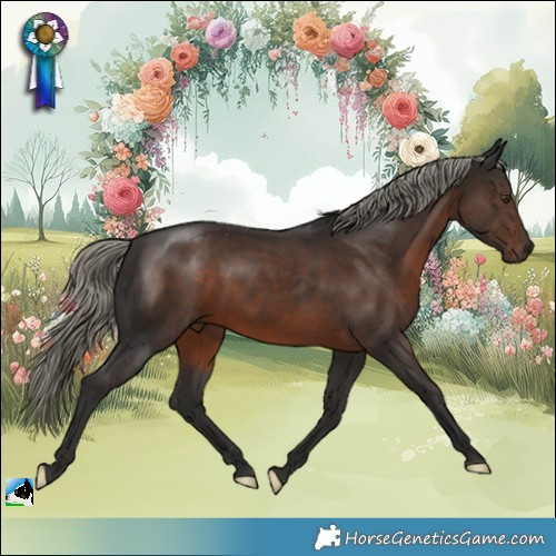 Horse Color:Liver Chestnut Mushroom 