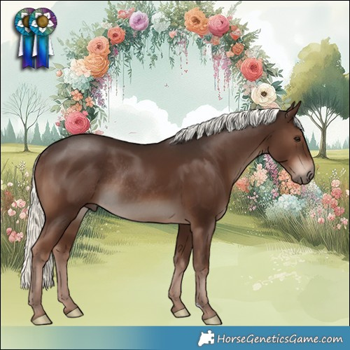 Horse Color:Liver Chestnut Mushroom Rabicano 
