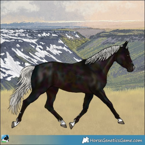 Horse Color:Midnight Liver Chestnut Mushroom 