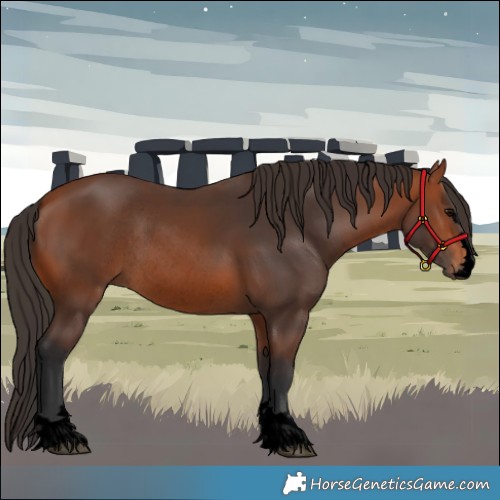 Horse Color:Void Bay Rabicano