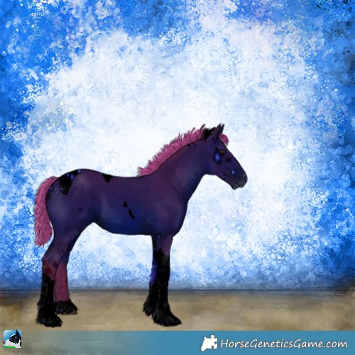 Horse Color:ERROR: UNKNOWN ANOMALY