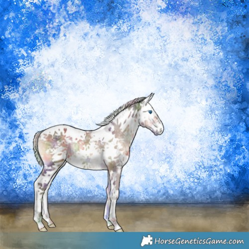 Horse Color:Nacre Silver Bay Ice Onyx Sabino Frame 