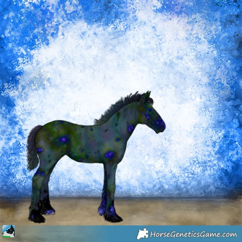 Horse Color:ERROR: UNKNOWN ANOMALY