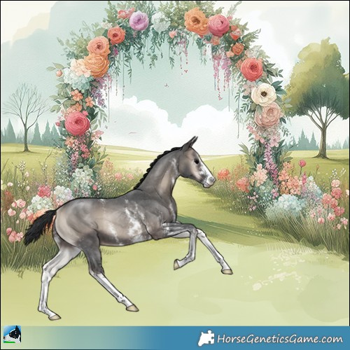 Horse Color:Blue Onyx Sabino Rabicano 