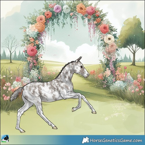 Horse Color:Silver Grullo Mushroom Sabino 