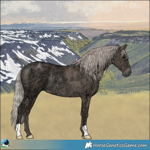 Horse Color:Silver Grullo Ice Rabicano