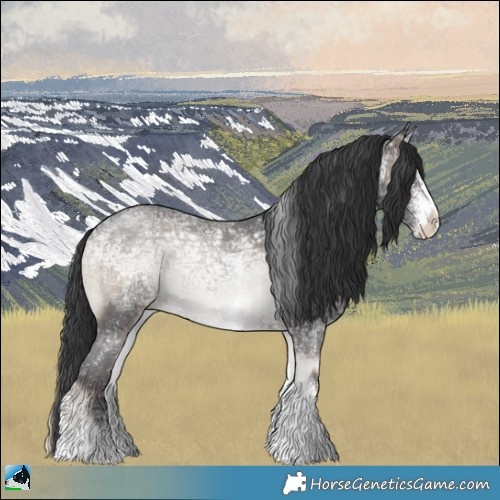 Horse Color:Blue Onyx Ice Sabino Rabicano 