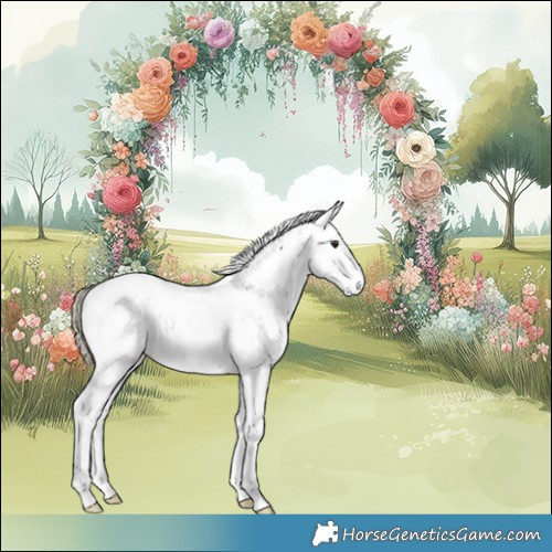 Horse Color:Liver Red Onyx Sabino 