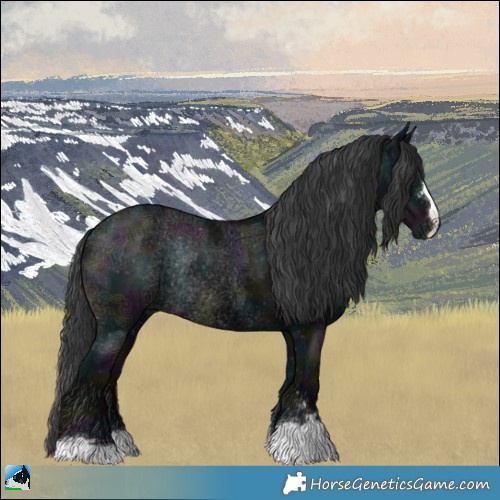 Horse Color:Midnight Black Ice Appaloosa Rabicano