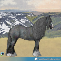 Horse Color:Midnight Black Ice Varnish Rabicano