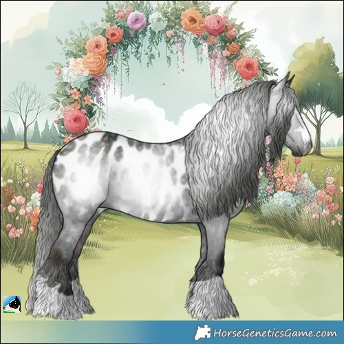 Horse Color:Gray Midnight Blue Onyx Ice Appaloosa Rabicano 
