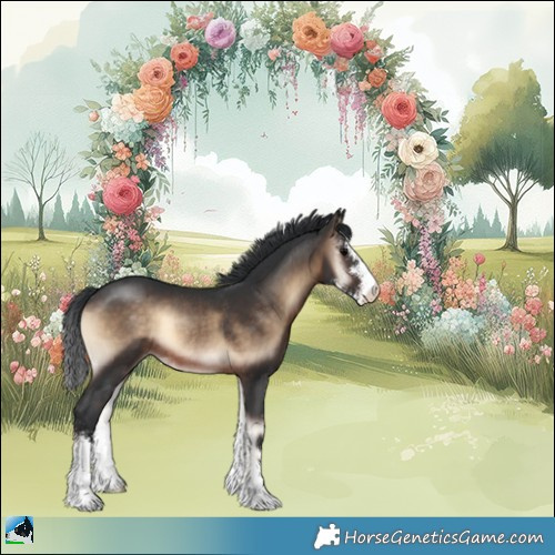 Horse Color:Brown Onyx Sabino Appaloosa Rabicano 