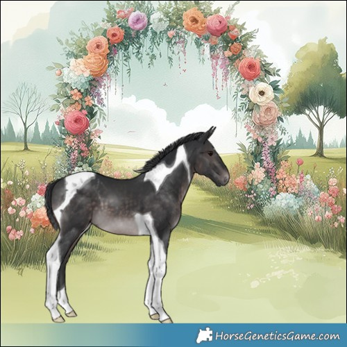 Horse Color:Platinum Brown Tobiano 