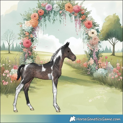 Horse Color:Platinum Brown Tobiano 