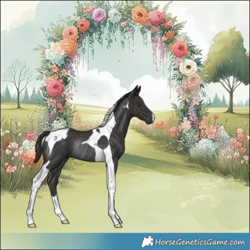 Horse Color:Platinum Liver Chestnut Tobiano Rabicano 