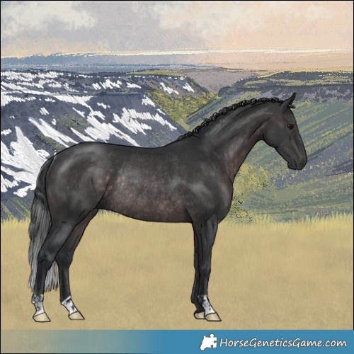 Horse Color:Platinum Brown Rabicano