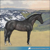 Horse Color:Platinum Brown Rabicano 