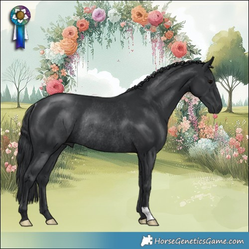Horse Color:Platinum Black Rabicano 