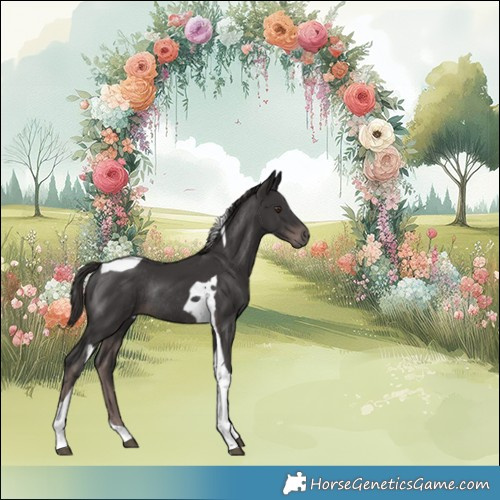 Horse Color:Platinum Liver Chestnut Tobiano Rabicano 