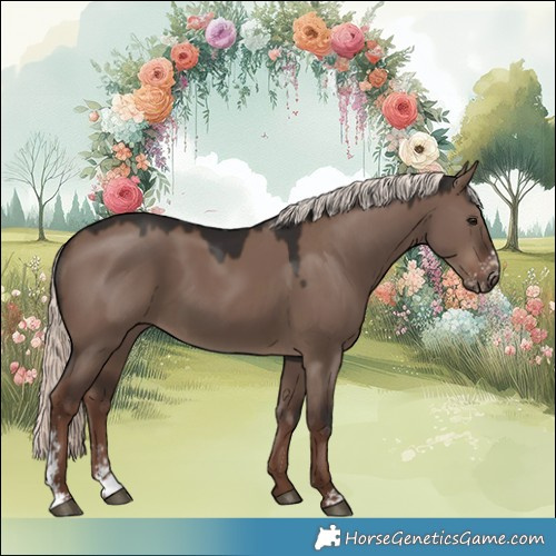 Horse Color:Liver Red Dun Mushroom Sabino 