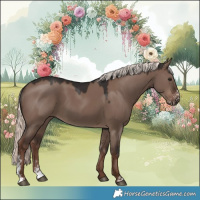 Horse Color:Liver Red Dun Mushroom Sabino 