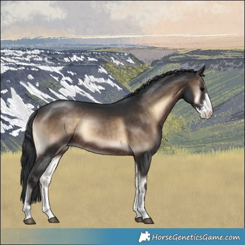 Horse Color:Brown Onyx Sabino Rabicano 