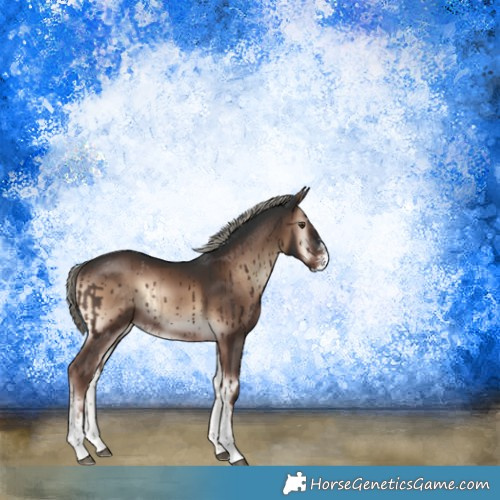 Horse Color:Liver Red Onyx Mushroom Sabino Rabicano 