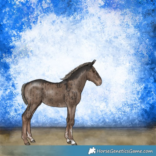 Horse Color:Liver Red Dun Mushroom Sabino Rabicano Brindle 
