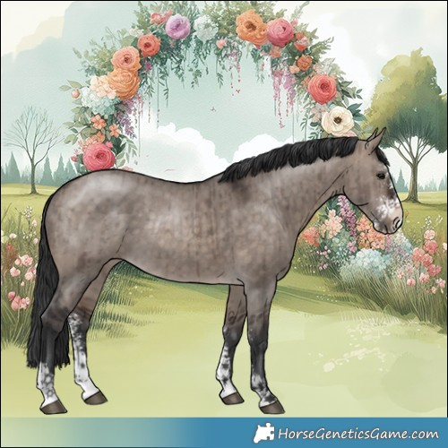 Horse Color:Brown Dun Mushroom Sabino Rabicano Brindle 