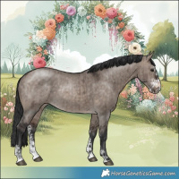 Horse Color:Brown Dun Mushroom Sabino Rabicano Brindle 