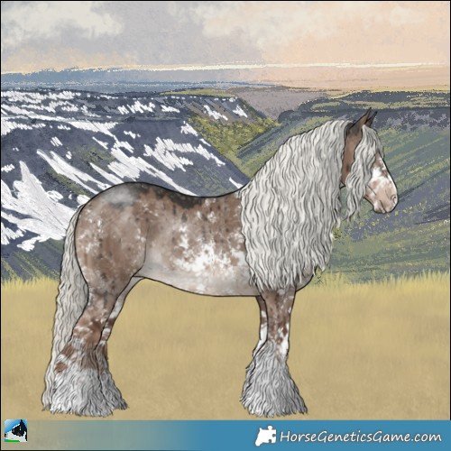 Horse Color:Liver Red Dun Mushroom Sabino Rabicano Brindle 