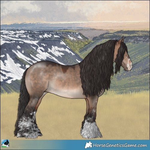 Horse Color:Brown Dun Mushroom Sabino Rabicano