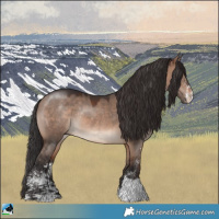 Horse Color:Brown Dun Mushroom Sabino Rabicano 