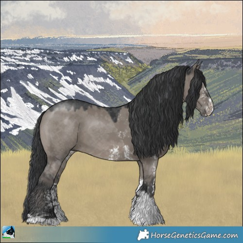 Horse Color:Grullo Mushroom Sabino