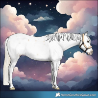 Horse Color:Palomino Sabino Blanket