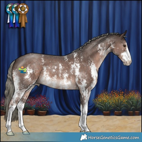 Horse Color:Liver Chestnut Mushroom Sabino 
