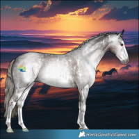 Horse Color:Gray Liver Chestnut Mushroom Sabino