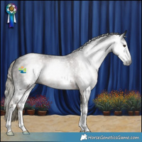 Horse Color:Gray Liver Chestnut Mushroom Sabino 