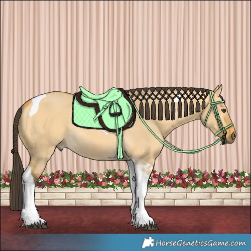 Horse Color:Buckskin Dun Tobiano Rabicano 