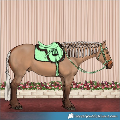 Horse Color:Silver Brown Dun Rabicano 