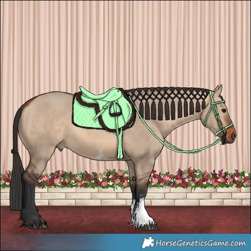 Horse Color:Bay Dun Sabino Rabicano 