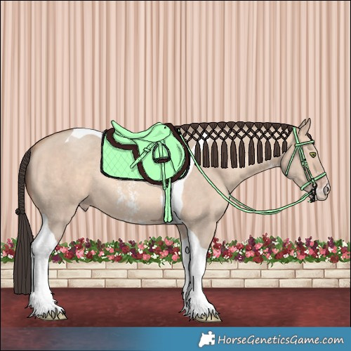 Horse Color:Amber Champagne Dun Sabino Tobiano Rabicano 