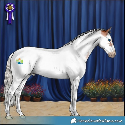 Horse Color:Silver Bay Roan Splash Tobiano Frame 