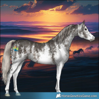 Horse Color:Gray White Spotted Silver Black 