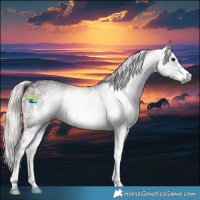 Horse Color:Gray White Spotted Silver Black 