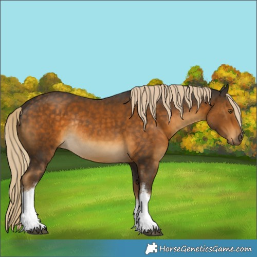 Horse Color:White Spotted Chocolate Palomino Rabicano 
