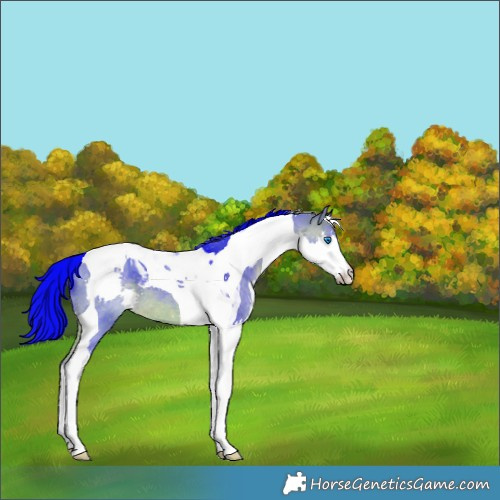 Horse Color:Watercolor Brown Dun Splash Tobiano 