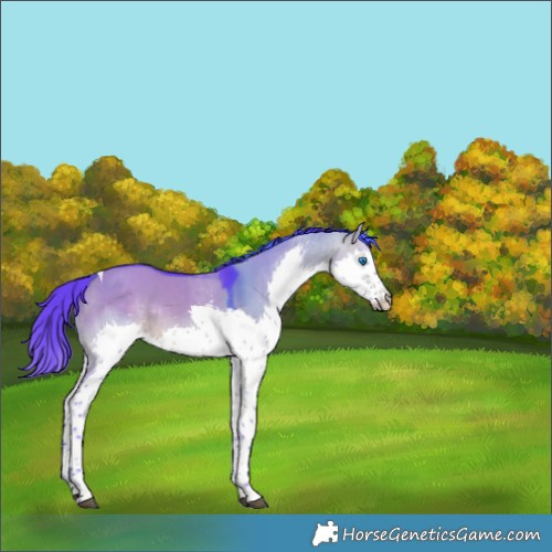 Horse Color:Watercolor Brown Dun Splash Tobiano Rabicano 