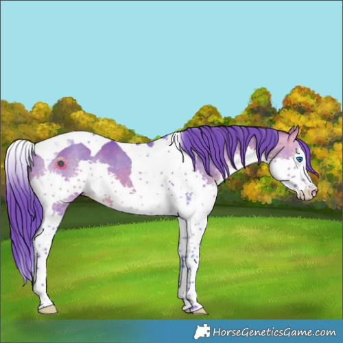 Horse Color:Watercolor Brown Dun Splash Tobiano 